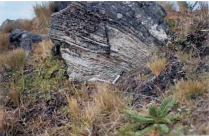 Figura 29  Cerro Apallacuy. 