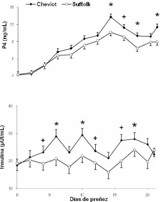Figura 4. Concentraciones séricas de progesterona (P4) e insulina en ovejas Suffolk y Cheviot desde el día 0=IA al 21 de preñez