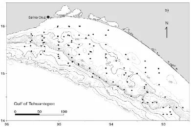 Figura 2.  Batimetría del Golfo de Tehuantepec (Tomado de Arellano, 2003). 