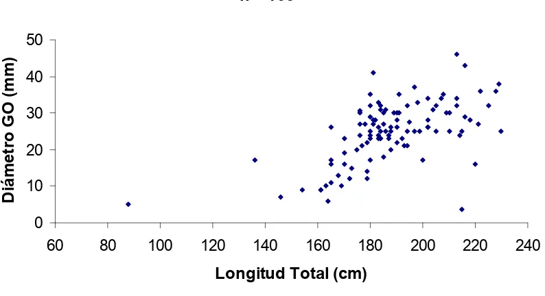Figura 5. Correlación del diámetro máximo del ovocito con la longitud total (r = .38203, p >  0.05)
