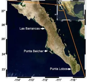 Figura 1. Área de estudio. Localización de los campos pesqueros donde se obtuvieron  las muestras (Tomada y modificada de CONABIO, 2002) 