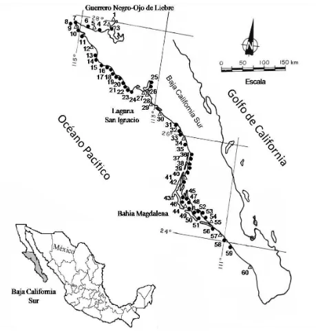 Figura 3. Ubicación de los campos artesanales a lo largo de la costa occidental de Baja California Sur, México