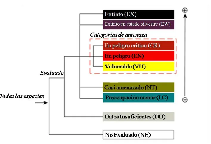 Figura 7. Clasificación de los criterios propuestos por la UICN 