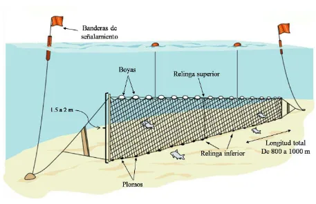 Figura 8. Características de las redes utilizadas por los pescadores artesanales de la costa occidental de B.C.S
