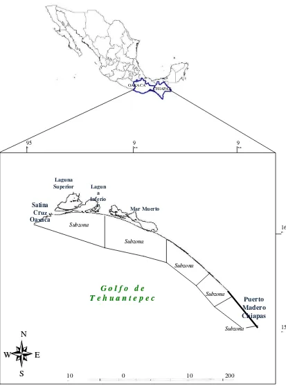 Figura 2 subzonas de pesca 91,. Localización geográfica del  área de captura de U. chilensis en el Golfo de Tehuantepec, delimitando las cinco  92, 93, 94 y 95