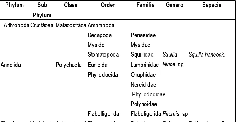 Tabla 1 Clasificación taxonómica de los componentes alimentarios de los tractos digestivos de la población de U