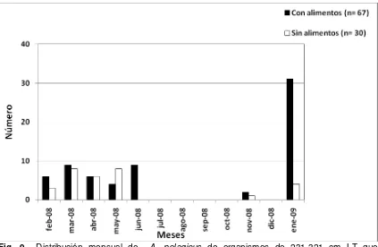 Fig. 9.- Distribución mensual de  A. pelagicus de organismos de 231-321 cm LT que 