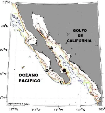Fig 3. Áreas de estudio para el tiburón martillo Las isobatas se marcan en lineas de color y la profundidad es en metros (Tomado de S