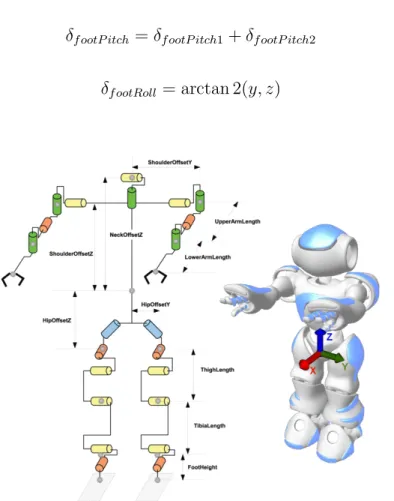 Figure 2.5: Left: The joints of NAO. Right: The navigation coordinate system used in Graf et al