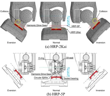 Figure 2.15: Front view of the right ankle joint.