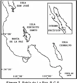 Figura 7. Bahía de La Paz, B.C.S.  