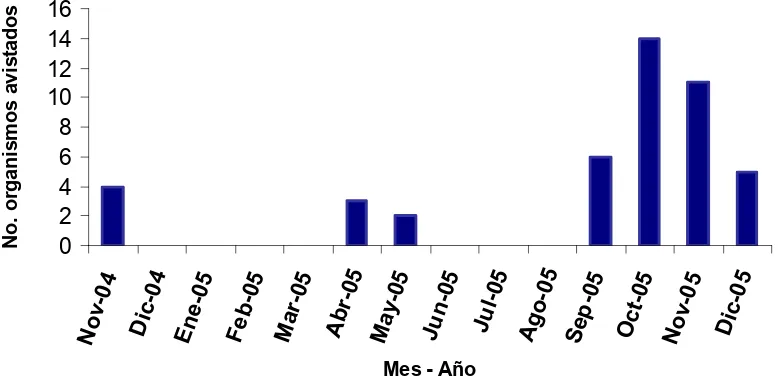 Figura 10. Distribución temporal de tiburones ballena avistados en la localidad de 
