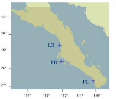 Figura 3. Ubicación de las tres principales localidades de muestreo. Punta Lobos 