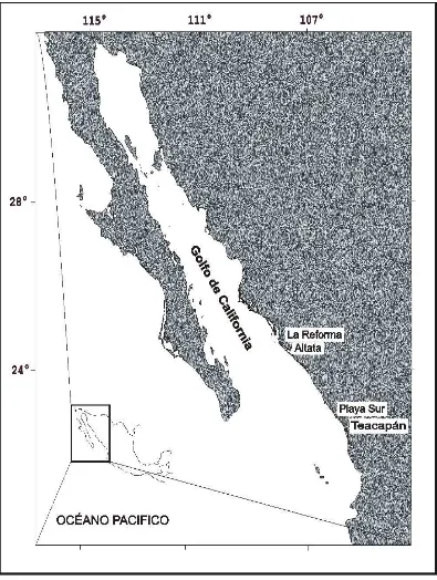 Figura 3. Área de estudio y localización de los campos pesqueros visitados para este estudio