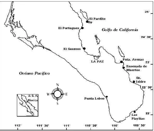 Figura 5. Mapa del área de estudio. Campos pesqueros en los que se obtuvieron las muestras de tiburón martillo Sphyrna lewini