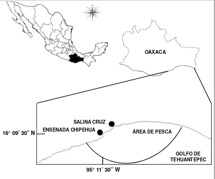 Figura 1. Localización del área de estudio en la costa sur de Oaxaca. Se muestra la ubicación de Ensenada Chipehua y la línea delimita el área donde opera la pesquería artesanal