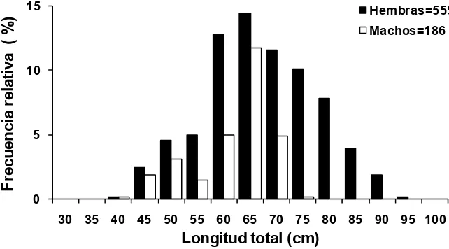 Figura 5. Distribución de tallas del cazón pardo, M. henlei, en el norte del Golfo de California
