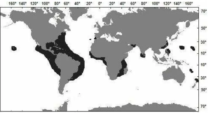 Figura 2. Distribución geográfica de Carcharhinus falciformis (Tomado de FAO, 2000). 