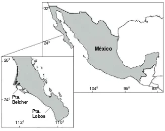 Figura 3. Ubicación geográfica de las zonas  de muestreo. 