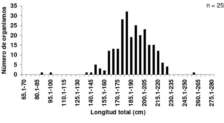 Figura 8. Distribución de frecuencias de tallas de Carcharhinus falciformis para 
