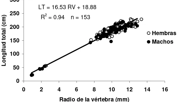 Figura 9. Relación entre el radio de la vértebra cervical  (RV) y la longitud total (LT), considerando ambos sexos de Carcharhinus falciformis