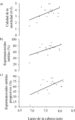 Figura 2. Relación entre la calidad de la motilidad espermática (a), el porcentaje de y la longitud de la cabeza de los espermatozoides del semen de venado de campo (bezoarticusespermatozoides mótiles (b), y el porcentaje de espermatozoides con motilidad p