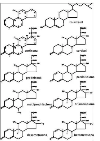 Figura 1. Estructura de los glucocorticoides. Principal estructura del colesterol, prednisona, prednisolona, metilprednisolona, triamcinolona, dexametasona, betametasona