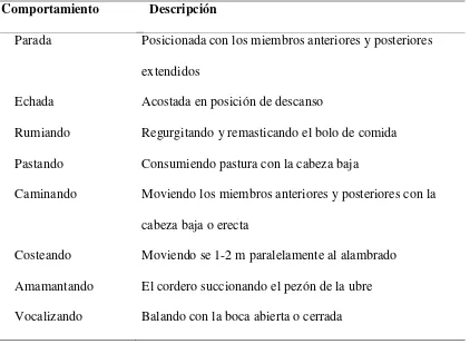 Cuadro I. Comportamientos registrados en las ovejas para evaluar los cambios comportamentales al destete