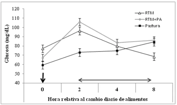Figura 4. Concentraciones de glucosa a las 10 AM (0h), 12 AM (2h), 14 PM (4h) y 18 PM (8h), en 19 PM)