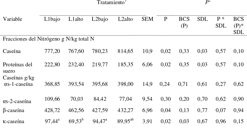 Cuadro V. Medias de caseína total, proteínas del suero, fracciones de caseínas de la leche en SDL 2 y 8 en vacas  primíparas (L1) multíparas (L2) con bajo y alto estado corporal (BCS) a los -30 días de lactancia