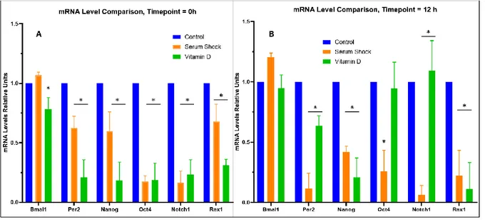 Figure 3. Relative mRNA Levels 