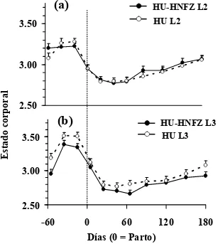 Figura 2: Evolución del estado corporal en vacas de dos y tres partos (L2, L3)  Holstein uruguayo (HU, n=31) y cruza neocelandés (HU=HFNZ, n=31)