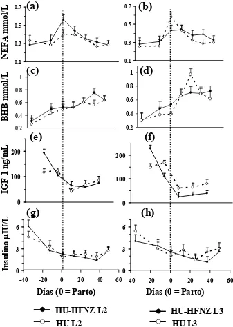 Figura 3: Concentraciones de ácidos grasos no esterificados (NEFA a, b),  β=hidroxibutirato (BHB, c, d), factor de crecimiento similar a la insulina tipo 1 (IGF=1, e, f) e insulina (g, h) en vacas de dos y tres partos (L2, L3) Holstein uruguayo (HU, n=31) 