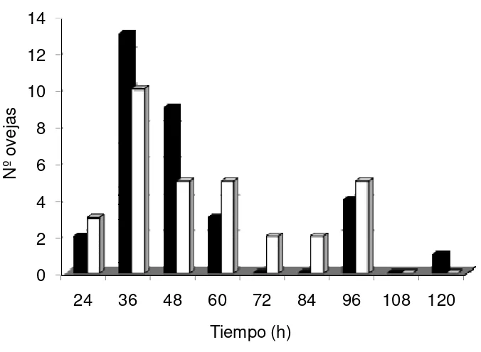Figura 9. Distribución de ovejas en celo en el GC (■32) luego de retirar las EIV (hora 0) e introducir los machos y ovejas en celo