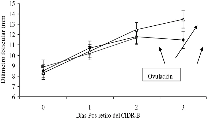 Figura 2: Diámetro del folículo mayor hasta su ovulación, según tratamiento aplicado normalizado al momento del retiro del CIDR (Día 0)