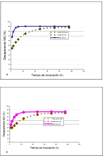 Figura 2. Degradabilidad de la MS de trébol blanco (a) y de lotus (b) para las diferentes metodologías (MS: materia seca; TB: trébol blanco; IS: in situ; IVA: in vitro Ankom; IVAm:  in vitro Ankom modificado)   