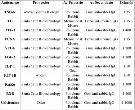 Tabla 1. Información de Anticuerpos primarios utilizados para la localización de los antígenos