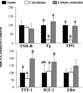 Figura 2.  Nivel de expresión de los transcriptos (100% = expresión mRNA grupo control) de TSH-R, Tg, TPO, TTF-1, IGF-1 y ERα en animales sanos, lóbulo tiroideo carcinomatoso y lóbulo contralateral