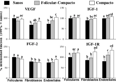 Figura 4). Los fibroblastos y células endoteliales en carcinomas compactos 