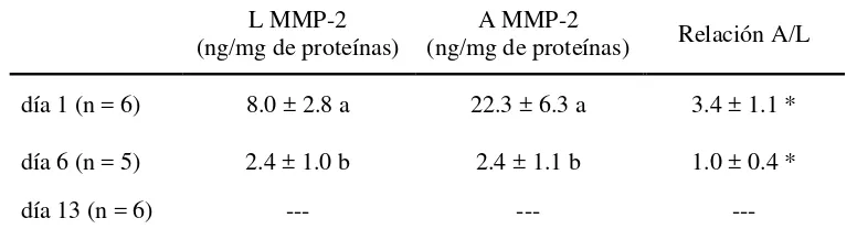 Tabla 3. Actividad gelatinasa (ng/mg de proteínas) de las formas latente (L) y activada (A) de la metaloproteinasa de la matriz extracellular-2 (MMP-2) y relación entre las formas A/L, en cérvix de ovejas en los días 1, 6 y 13 luego del estro (día = 0)