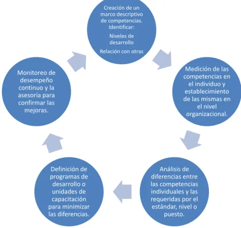 Figura 2.Ciclo de desarrollo de competencias (Sampson, 2009). 