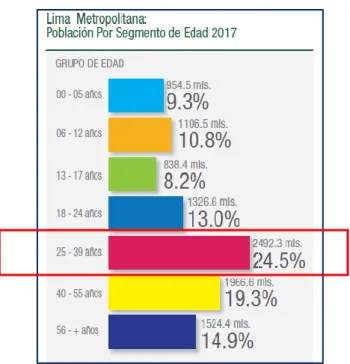 Figura 23. Población por segmento de edad 2017. 