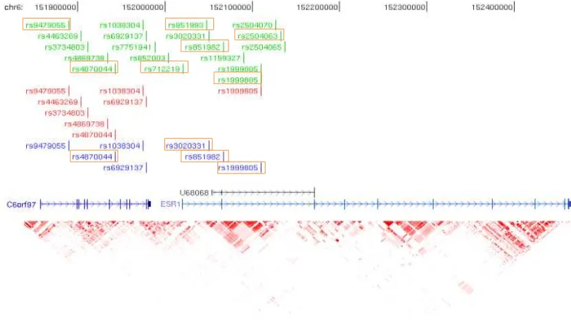 Figura 10. Localización de sitios polimórficos de los genes ESR1 y 