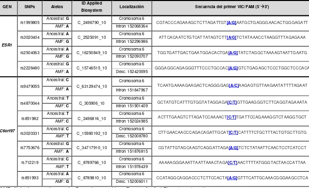 Tabla XXX. SNPs de interés de los genes ESR1 y C6orf97. 