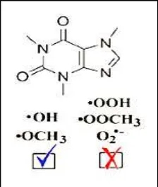 Figura 2. Capacidad antioxidante de la cafeína ante especies reactivas de 