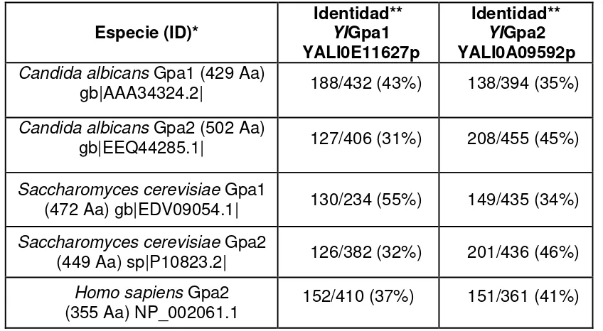 Tabla 11. Comparación de las secuencias Gpa de Y. lipolytica con secuencias de proteínas Gpa de otras especies 