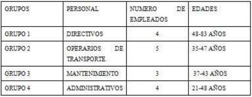 Figura N 2.- División de la muestra en grupos. 