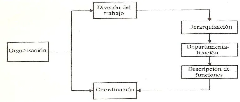 Cuadro 3. Organigrama. 