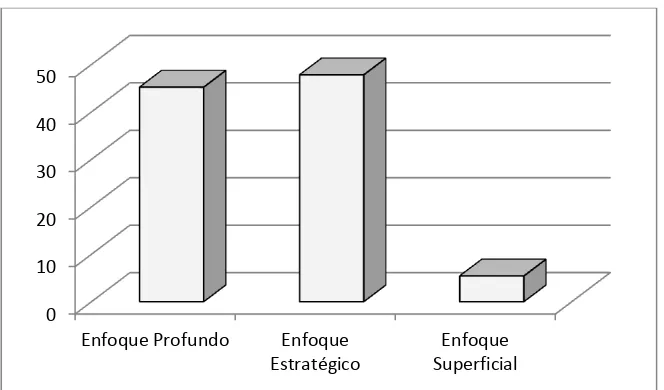 Figura 5. Distribución de enfoques. 