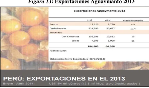 Figura 13: Exportaciones Aguaymanto 2013 